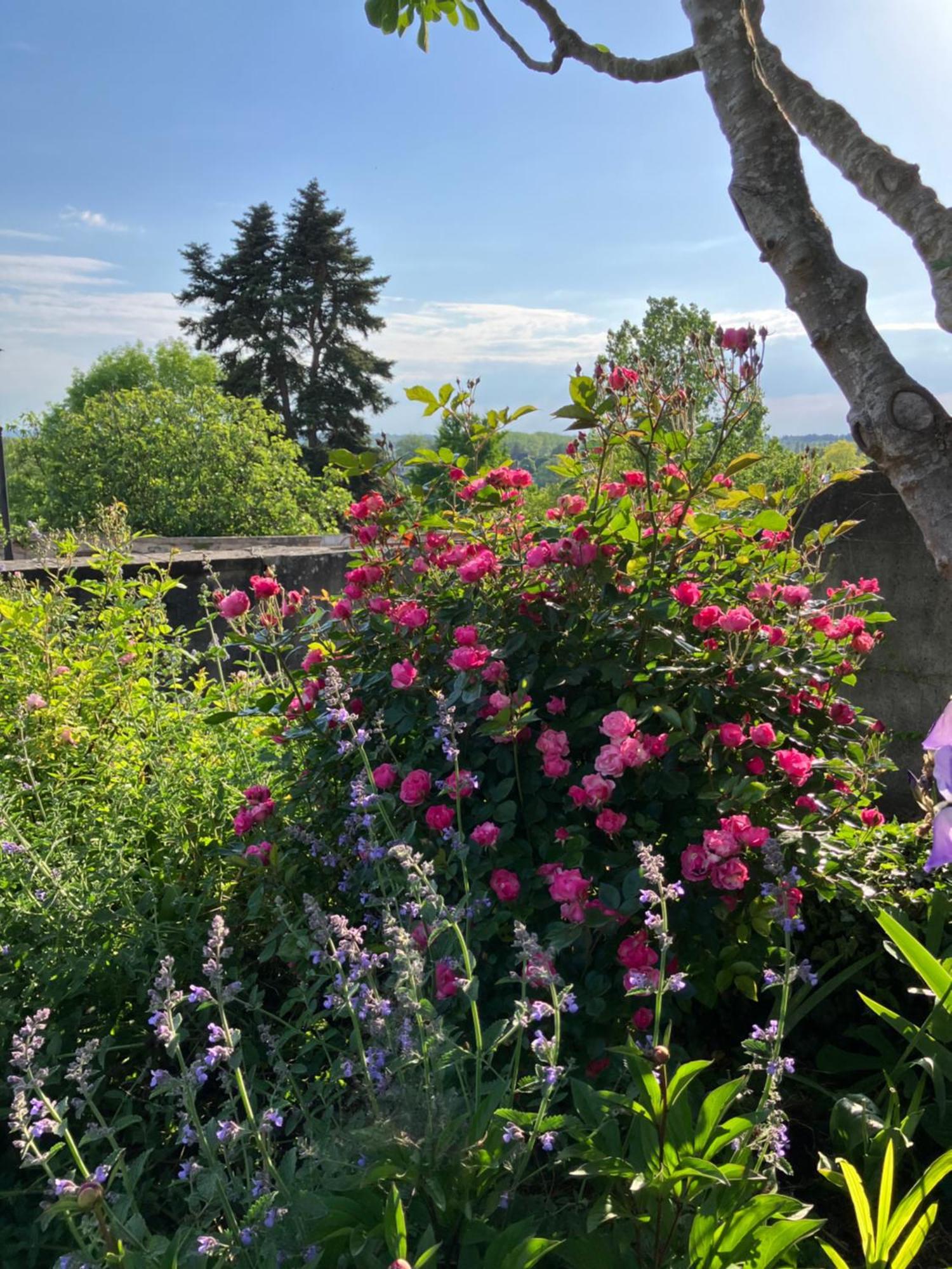 La Villa Lauvray Vétheuil Zewnętrze zdjęcie